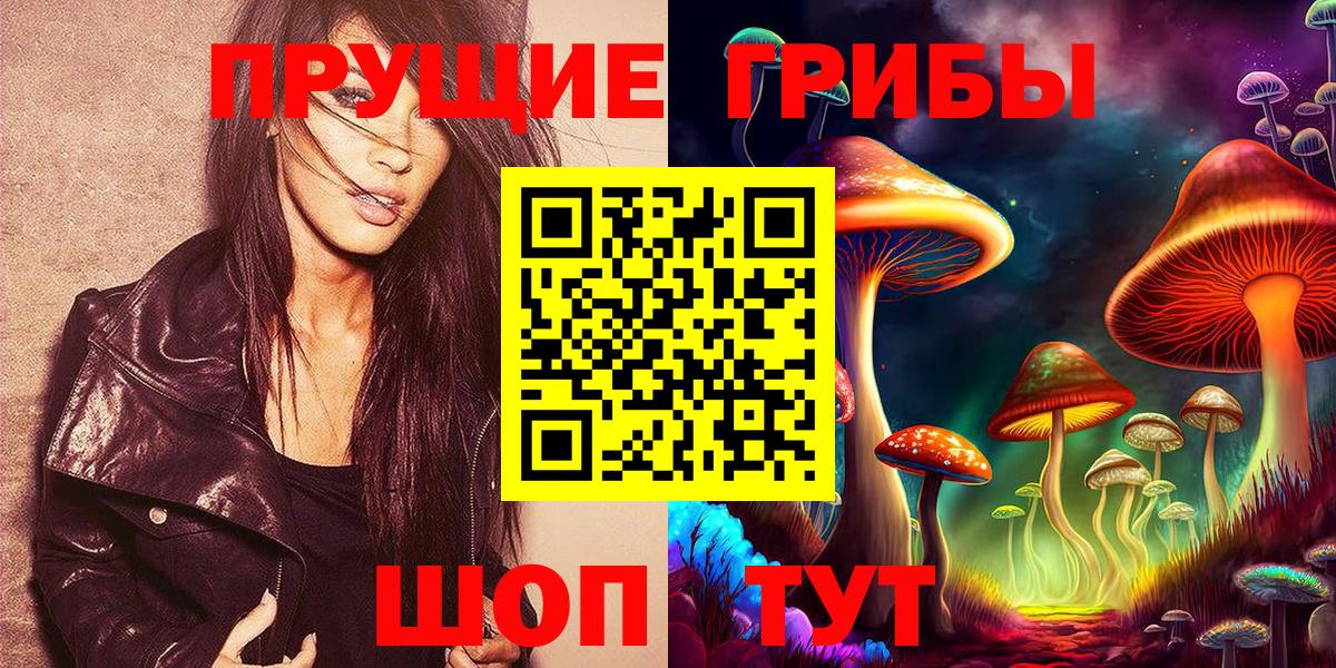 Псилоцибиновые грибы мицелий  Вход с VPN  Псилоцибиновые грибы Psilocybine cubensis  Нижнекамск 
