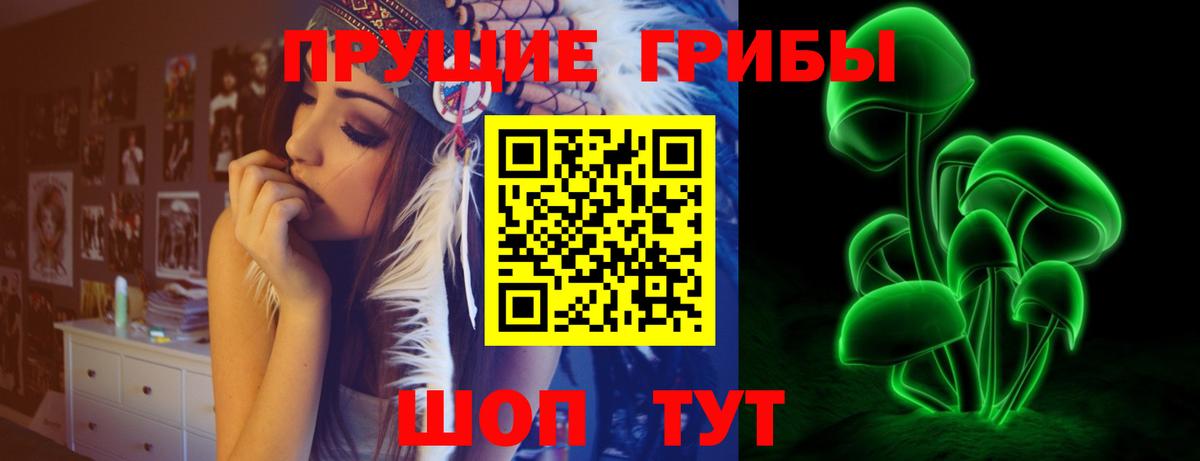 Псилоцибиновые грибы Psilocybe Нижнекамск